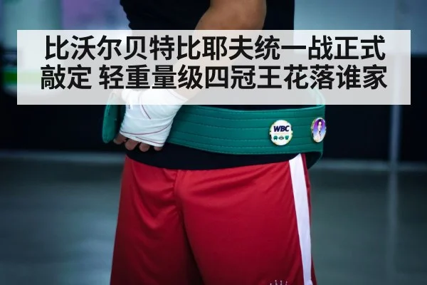 boxing championship belt